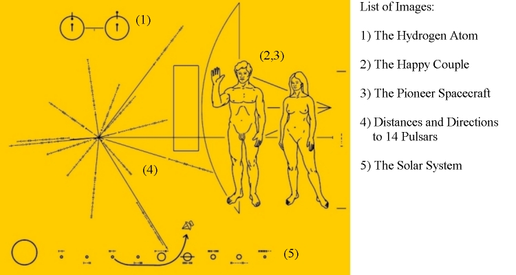 Image of the Pioneer Plaque